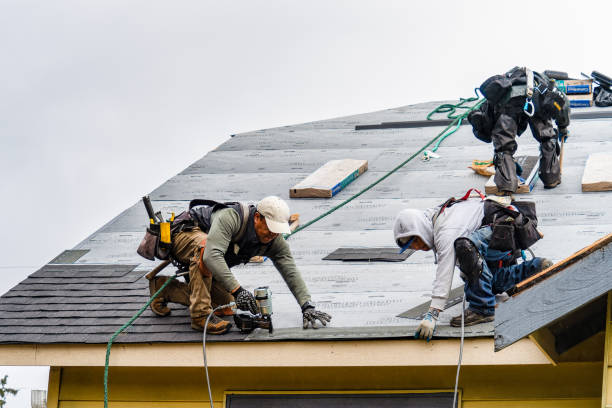 Professional Storm Damage Roof Repair technician working in Newberry, MI